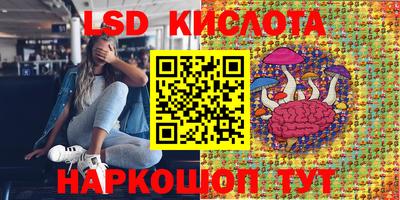 молекула духа Донской