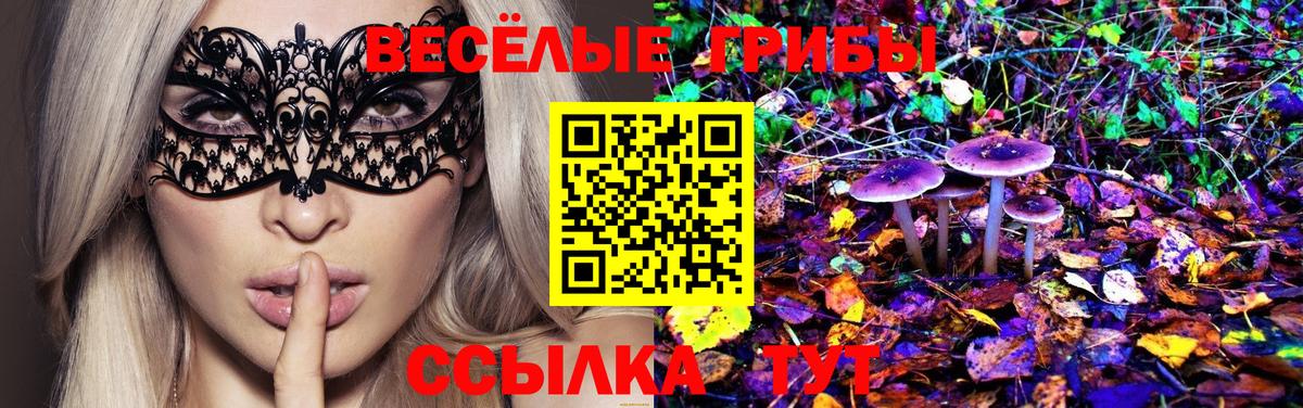 Малгобек  Галлюциногенные грибы мухоморы  Вход с VPN 